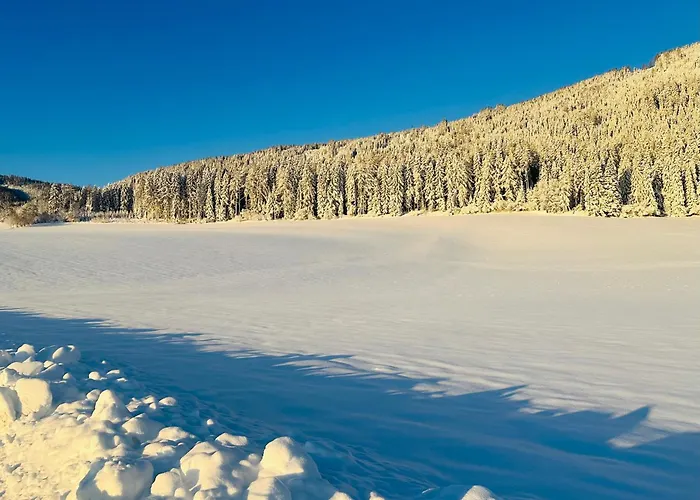 Erholung Im Naturpark Apartment